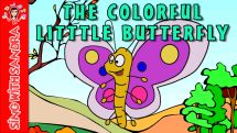The Coloful Little Butterfly